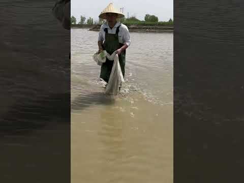 Fishing Videos 2024