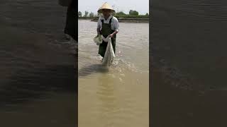 Fishing Videos 2024