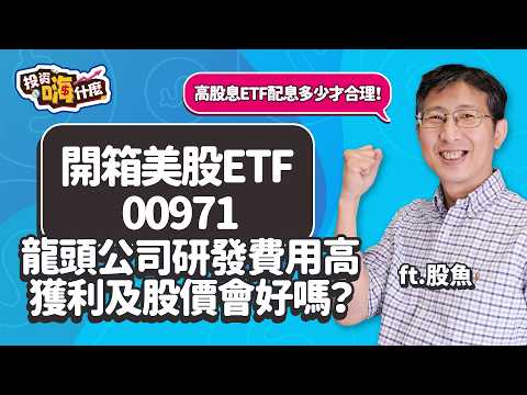 【股魚嗨什麼 EP116】美股漲到恨天高！除了SPY、VOO 、QQQ 還能買什麼？股魚開箱 #00971 研發費用高的公司，獲利及股價會好嗎？《投資嗨什麼》 ft.股魚