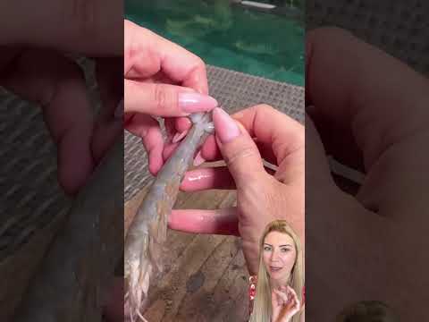 COMO LIMPAR CAMARÃO FÁCIL E RÁPIDO! EU NÃO ACREDITEI!