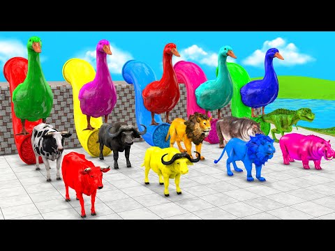 Long Slide Game With Cow Buffalo T Rex  Hippopotamus Tiger   3d Animal Game || Funny 3d Animals