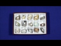 Mineral Kit Evaluation and Usage