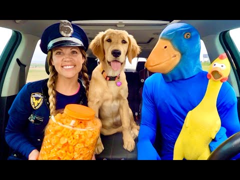 Puppy Surprises Rubber Ducky & Police With Car Ride Chase!