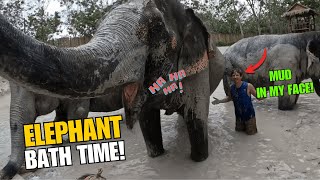 What Happens When Elephants Take Mud Baths?