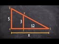 Triangle Similarity and Proportions