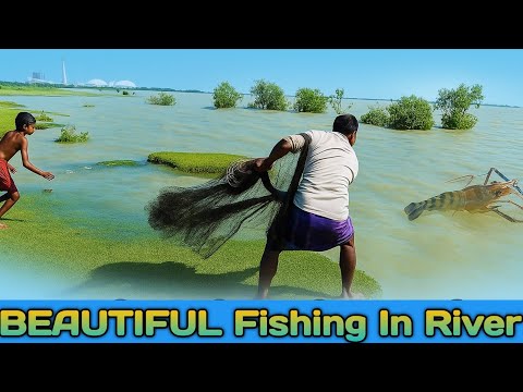 Natural cast net fishing in river fishing - mass dhara - amazon fishing