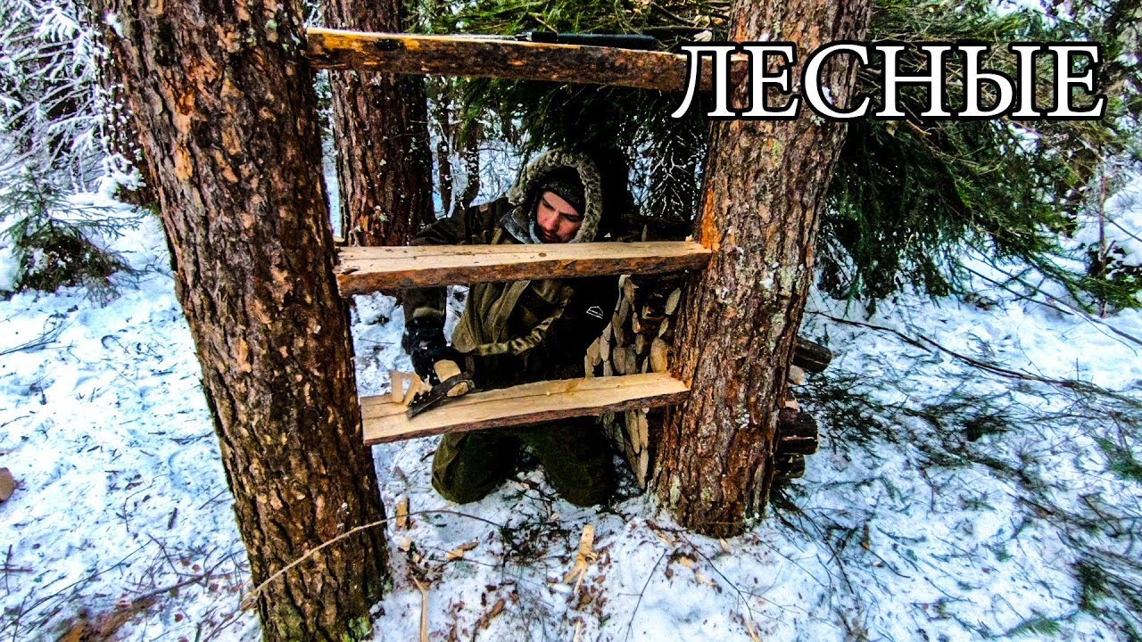 #2 7 простых советов для леса 7 bushcraft tips