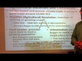 Early Civilizations and Societal Development