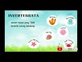 Invertebrate Animal Characteristics