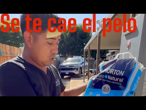 Cómo dejar q se te caiga el pelo