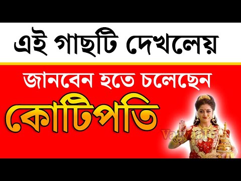 এই গাছটি দেখলেই জানবেন আপনি কোটিপতি হতে চলেছেন