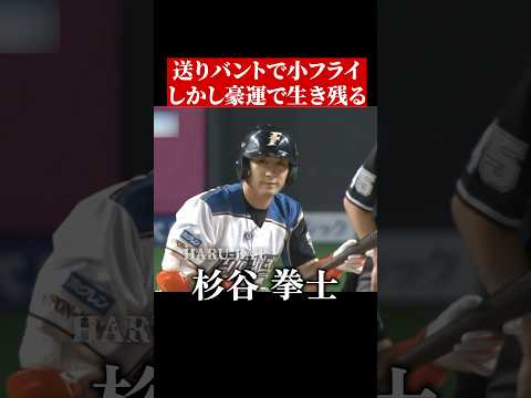 杉谷拳士と里崎智也 #shorts