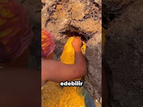 Topraktan BU SARI ŞEY Çıkarsa Sakın Bırakma!