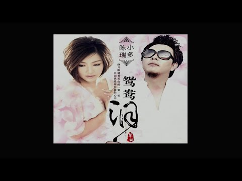 鸳鸯泪 (合唱) 陈瑞&刚辉-主唱 KARAOKE