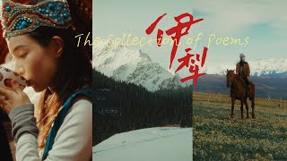 Talk Xinjiang｜A Collection of Poems from Ili