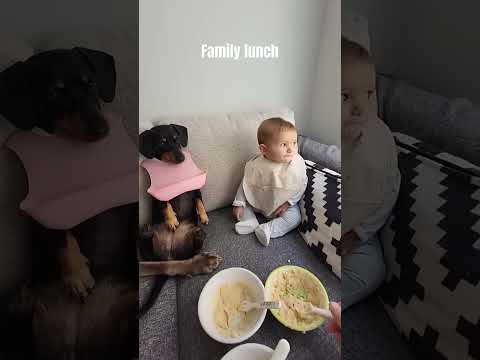 family lunch