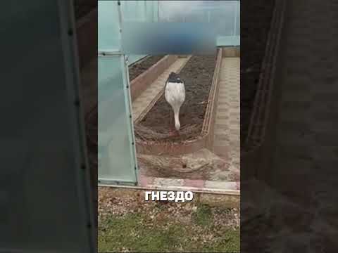 МЕСТО УЖЕ ЗАНЯТО 😉