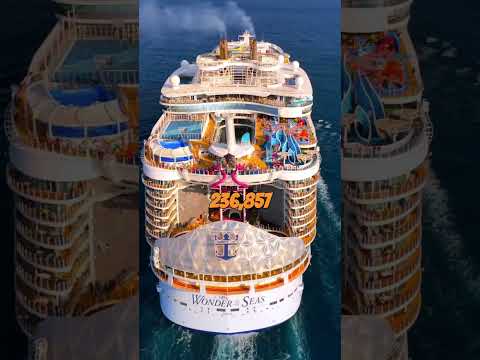 Part | 23 : The largest ship in the world.#royalcaribbean #ship #incredible #fyp