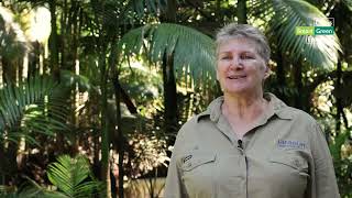 Smart Green Economy - Jaragun EcoServices - Supporting Pollinators and Vegetation Connectivity