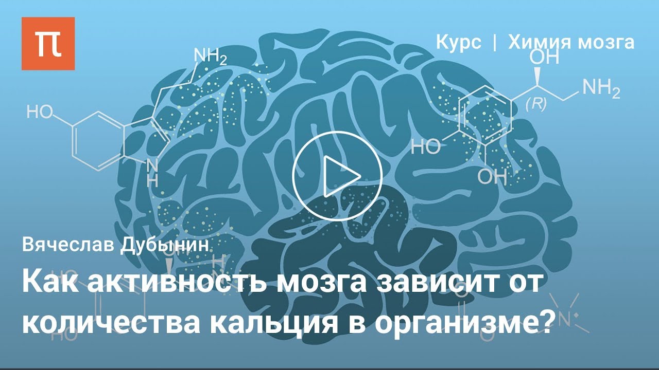 Мозг: работа синапсов - Вячеслав Дубынин