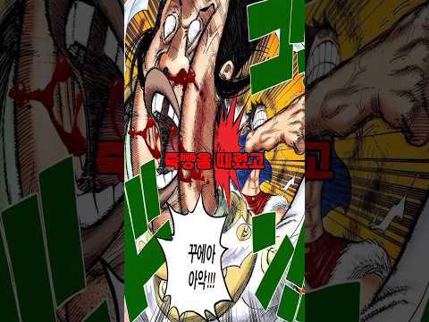 루피에게 개털린 천룡인