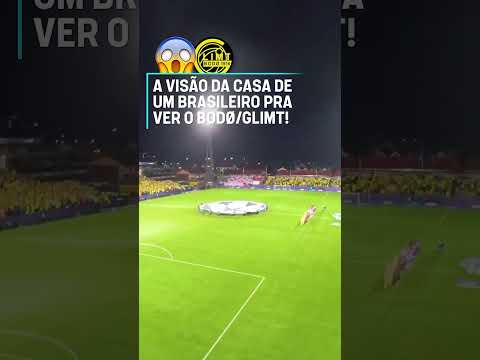 ESSE SABE O QUE É CASA DA CHAMPIONS! 😱🟡⚫ O brasilleiro Bruno Quadros vê o Bodø de camarote #shorts