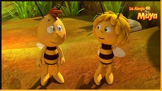 Una avispa muy simpática | La Abeja Maya 🐝 25' Compilación