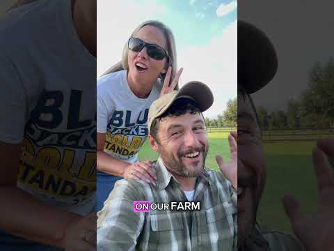 The Donkeys have NAMES #donkey #houstontx #minihorse #horses #cuteanimals