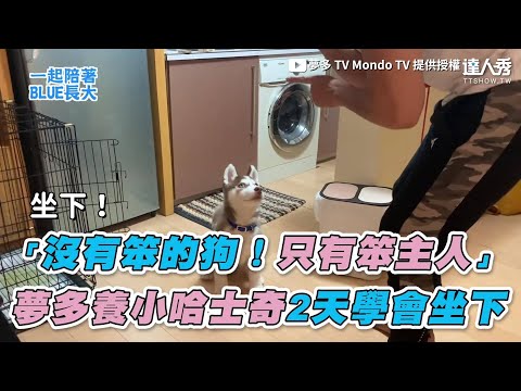 【「沒有笨的狗！只有笨主人」 夢多養小哈士奇2天學會坐下】｜夢多 TV Mondo TV