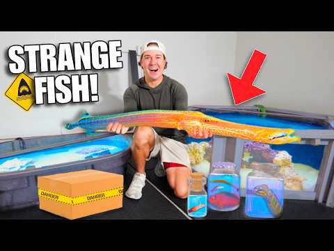 BUYING The STRANGEST FISH From the STORE For My SALTWATER POND!!