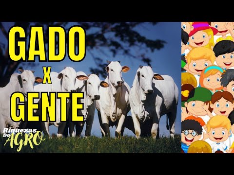Será que o Brasil tem mais gado do que gente? | Curiosidades do agro