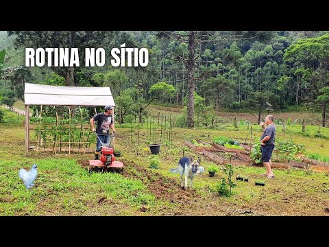 ROTINA NO SÍTIO: DEPOIS DESSE ESTRAGO TEREI QUE TOMAR UMA ATITUDE