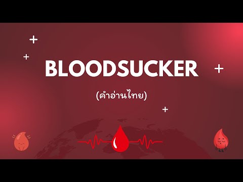 คำอ่านไทยCILBloodsuckerlyrics