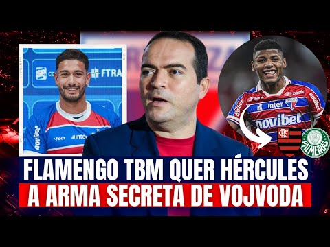 🚨 URGENTE: FLAMENGO ENTRA NA BRIGA E QUER HÉRCULES PARA 2025! MANCUSO A PEÇA CHAVE DE VOJVODA!