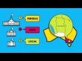 Local Government Roles and Responsibilities