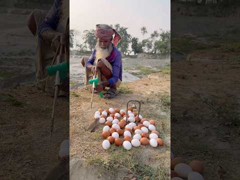 Rat hunting idea with arrow traps #village #rathunter #villagelife