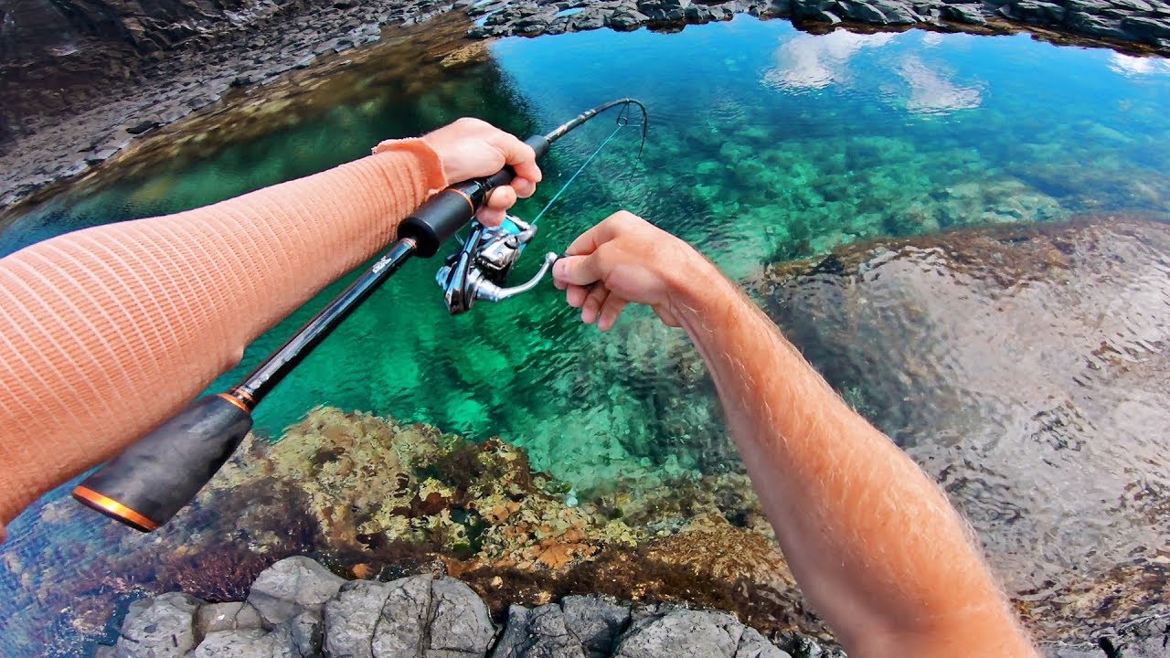 Amazing Fishing in Crystal Clear Rock Pools! - Cavy Fishing