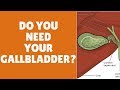 Understanding the Gallbladder