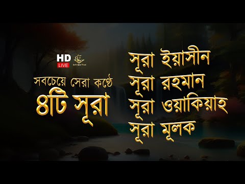 মন জুড়ানো কণ্ঠে সূরা ইয়াসিন | সূরা আর রহমান |  সূরা ওয়াকিয়া | সূরা মূলক By Zain Abu Kautsar
