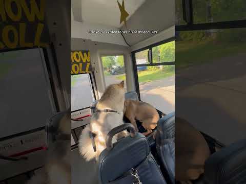 Cracker excited to see Blizz