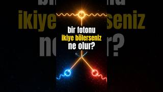 Bir Fotonu İkiye Bölerseniz Ne Olur?
