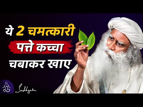 बस 20 दिन हर सुबह ये "दो चमत्कारी पत्ते" कच्चा चबाकर खाए | Sadhguru Hindi