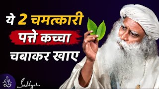 बस 20 दिन हर सुबह ये "दो चमत्कारी पत्ते" कच्चा चबाकर खाए | Sadhguru Hindi