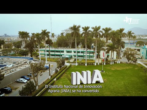 Video institucional 2025