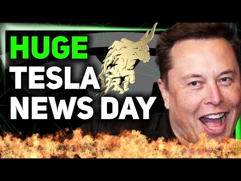 Tesla Shares Robotaxi Service Details / FSD Approval in EU / Elon Says 5 Critical Words ⚡️
