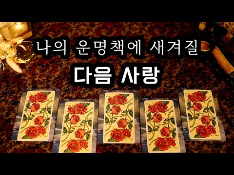 [타로] 나의 운명책에 새겨질 다음 사랑