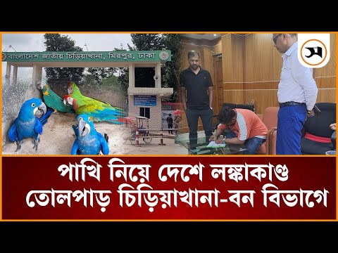 ৬ কোটির টাকার পাখি উধাও, সন্ধানে ইন্টারপোলের সহযোগিতা চেয়েছে বন বিভাগ | | Samakal News