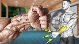 No Gym Needed: 7 Hand Grip Strength Exercises with Dumbbell Only