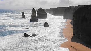 Where the Rainforest Meets the Sea: Australia's Nature Wonders