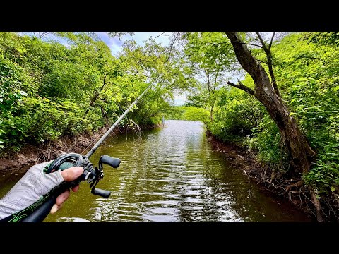 Pescando Hermoso Lago Inundado en México!